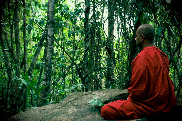Meditácia, Bhikkhu, mahamevnawa, Srí lanka, budhistické, mních, Forest