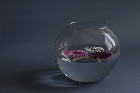 composition, flowers, a glass vessel, water, still life, decoration, glass - Material