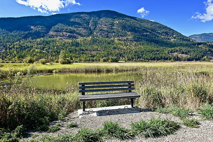 седалка, пейка, дървени, мирни, спокойно, седнал, за сядане