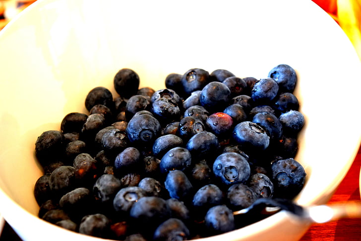 blåbær, frugt, frisk, mad, sund, bær, Sød