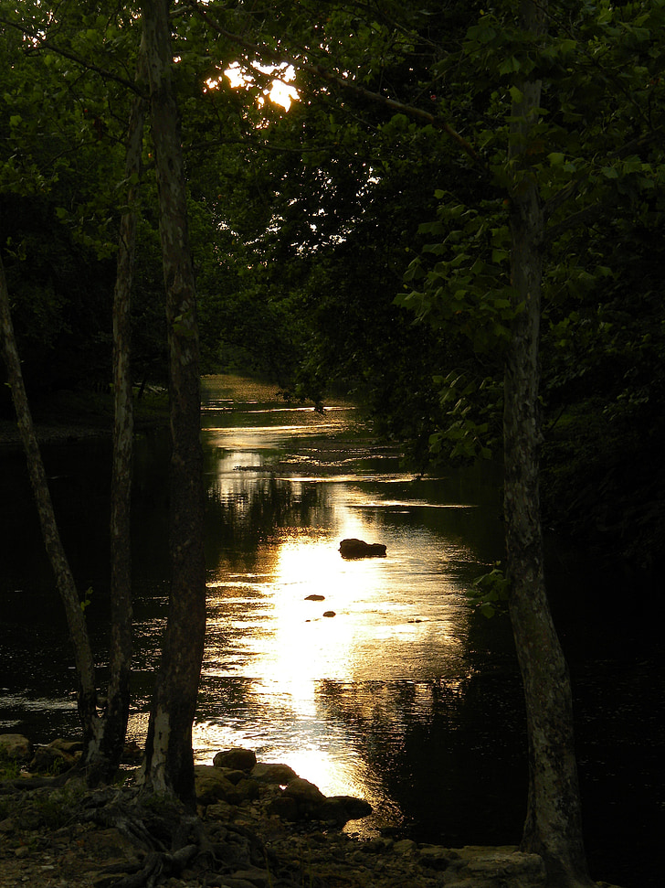 тъмно, залез, вода, река, живописна, романтичен, природата