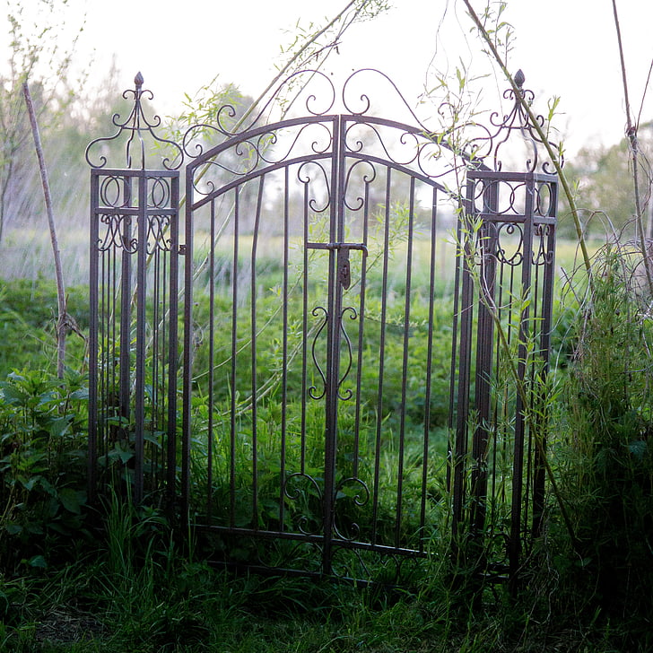 cilj, metala, Stari, ukras, željezne ograde, blokiran, priroda