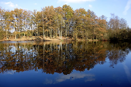 rybník, voda, jezero, zrcadlení, stromy, banka, krajina