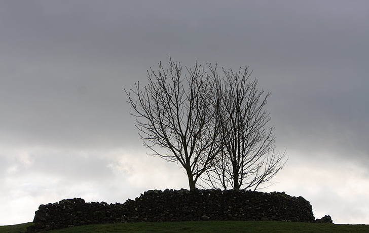 trees, silhouette, winter, tree silhouette, sky, moody, lonely