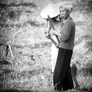 Bali, lavoro sul campo, Bauer, moglie del coltivatore, agricoltura