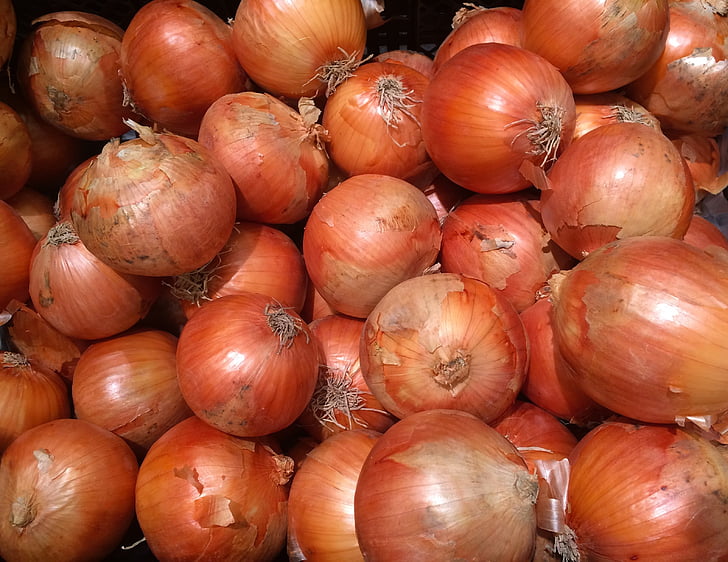 onions, orange, leather, pile up, fruit, seiyu ltd, living