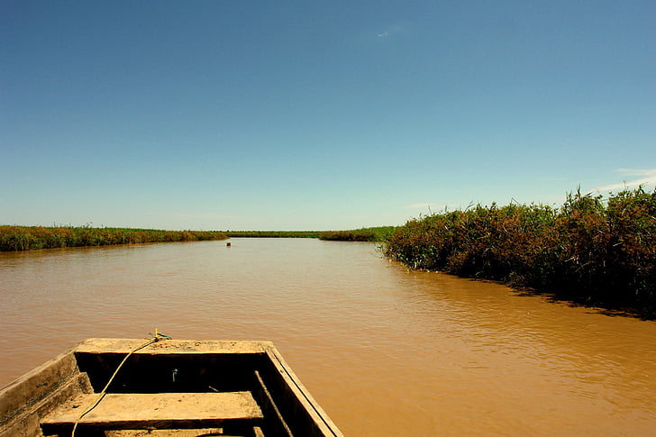 folyó, Amazon, Bolívia, átkelés, Holiday, természet, nyugodt
