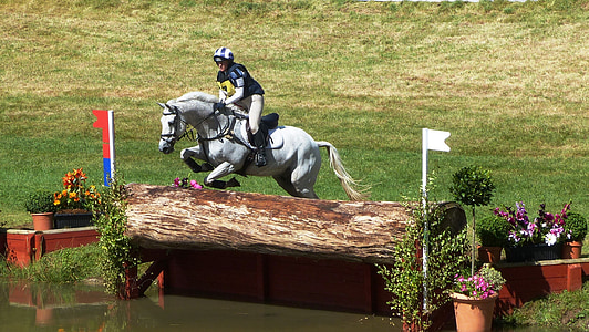 assaigs de cavall, concurs per, país creu, l'aigua, Hípica, competència, equitació