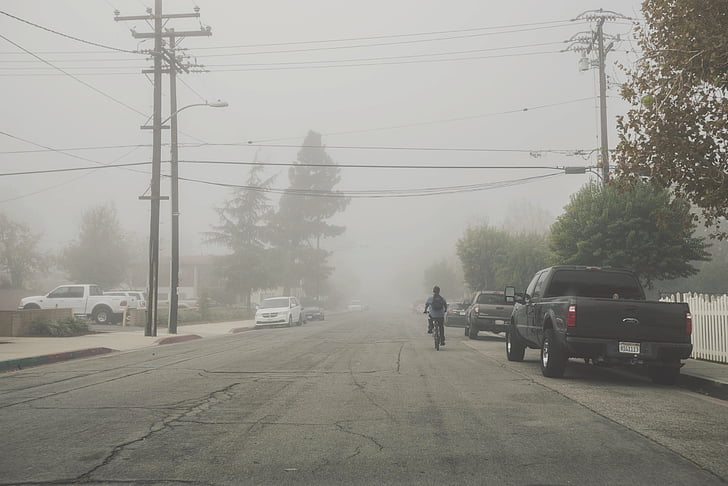 rue, chaussée, brouillard, vélo, vélo, cycliste, camions