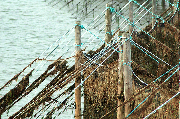 fishing net, water, river