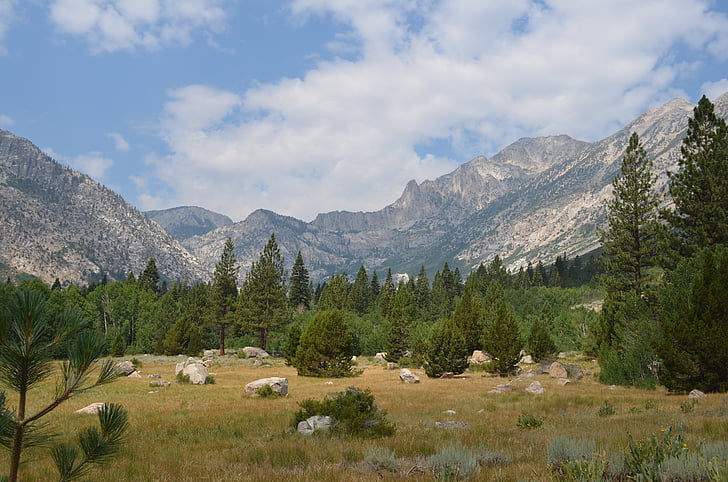 Sierra nevada, manzara, dağlar, çam ağaçları