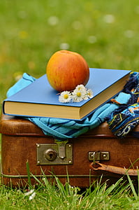 jabolko, knjiga, odmor, barva, marjetica, padec, cvetje