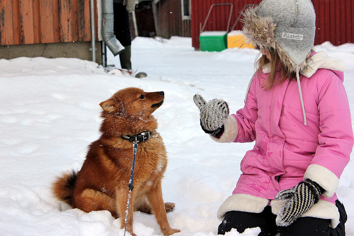 fată, câine, iarna, pălărie de blana, spitz finlandez