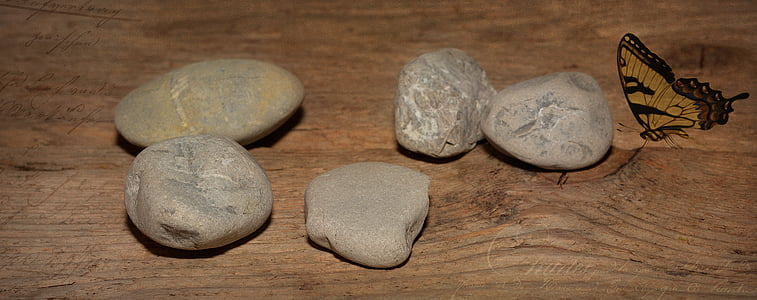 dřevěná podlaha, kameny, tvrdé, motýl, ročník, kámen - objekt, Oblázek