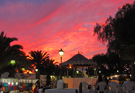 Lanzarote, abendstimmung, cielo, noche, árbol de Palma, al atardecer, puesta de sol