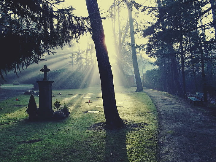 cemetery, light, glow, sun, sunshine, bill, tombstone