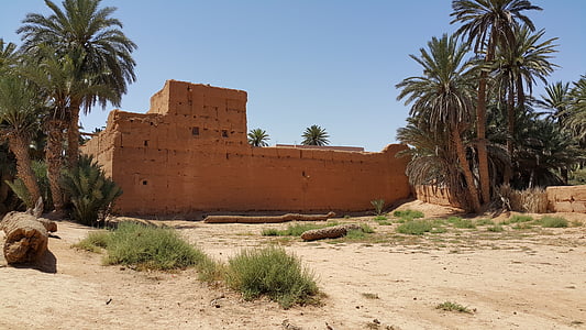 oasis, morocco, south, guelmin, travel, desert