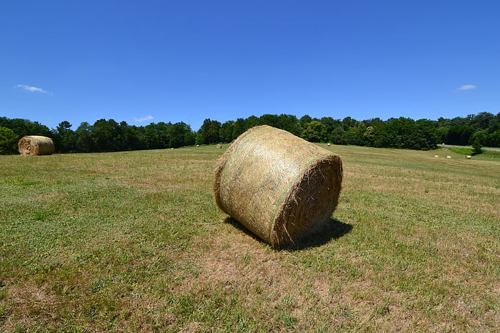 bale of hay, fever, boots hayfever, fields, summer, grass