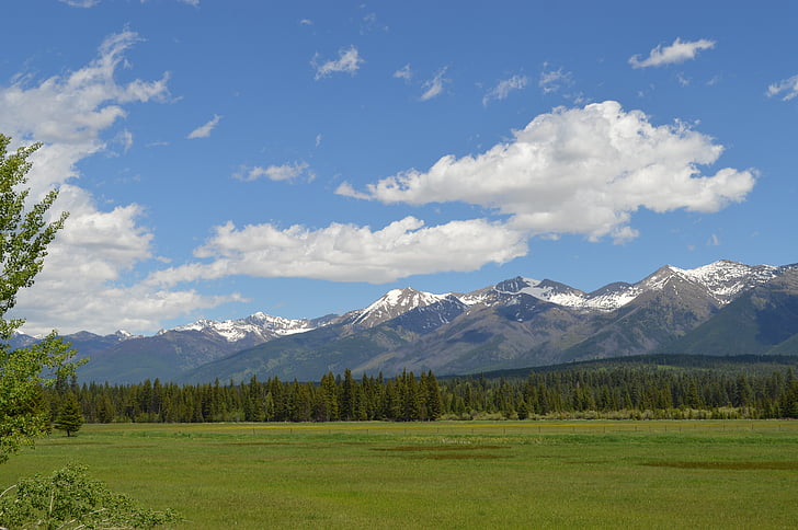 Montana, vuoret, Swan alue, maisema, kesällä, vihreä, erämaa