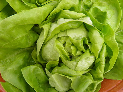 salat, grønn, hjerte, frisk, salat, grønnsaker, blad