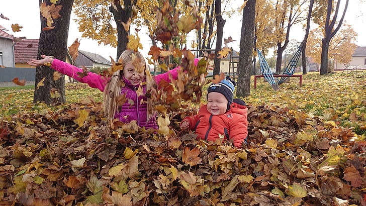 rudens, viengadīgus, Avar, brūnā lapu, rudens lapas, dzeltens lapām, svētku dienas