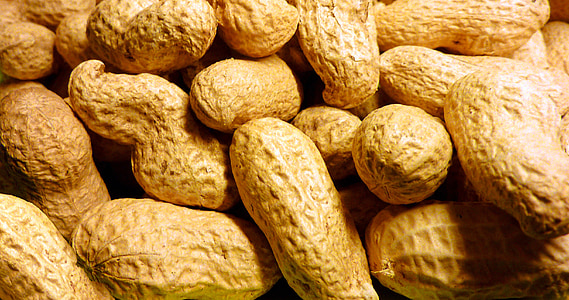 peanut, roasted, nuclear, snack, nut, nuts, shell