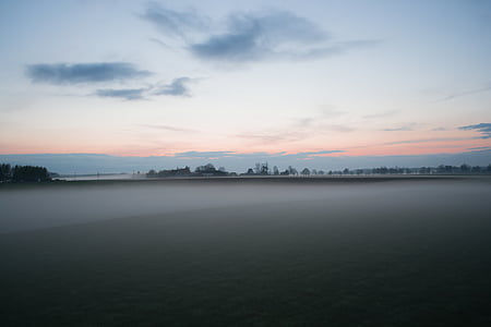 dawn, dusk, field, fog, grass, landscape, nature