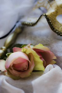 Romantika, Romantiškas, rožinė, rožės, žiedų, žydėti, gėlė