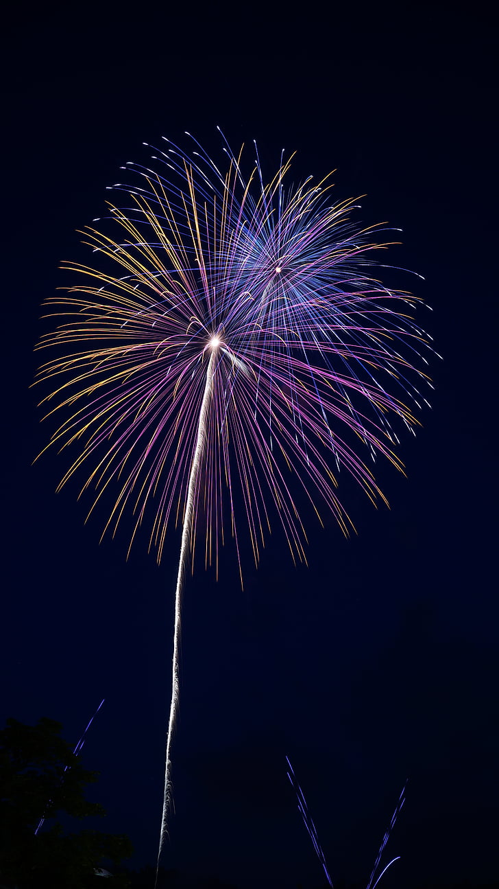 fireworks, summer in japan, night, night sky, light, celebration, exploding