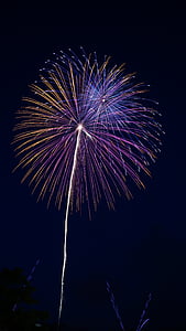 fireworks, summer in japan, night, night sky, light, celebration, exploding