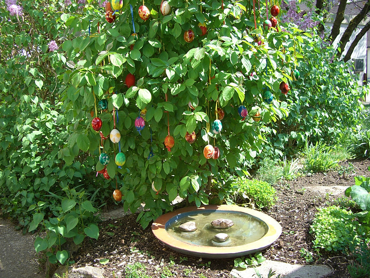 Easter bush, telur, warna-warni, Telur Paskah, Paskah, hijau, burung mandi