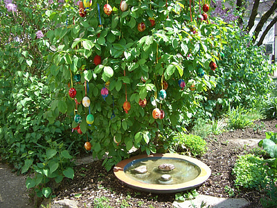 bush de la semana Santa, huevo, colorido, huevos de Pascua, Semana Santa, verde, baño del pájaro