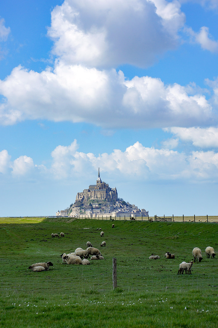 Mont saint michel, more, Ostrov, kamene, Normandy, slané lúky, ovce