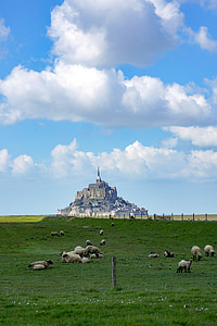 Mont saint michel, morje, otok, kamni, Normandija, slana travišča, ovce