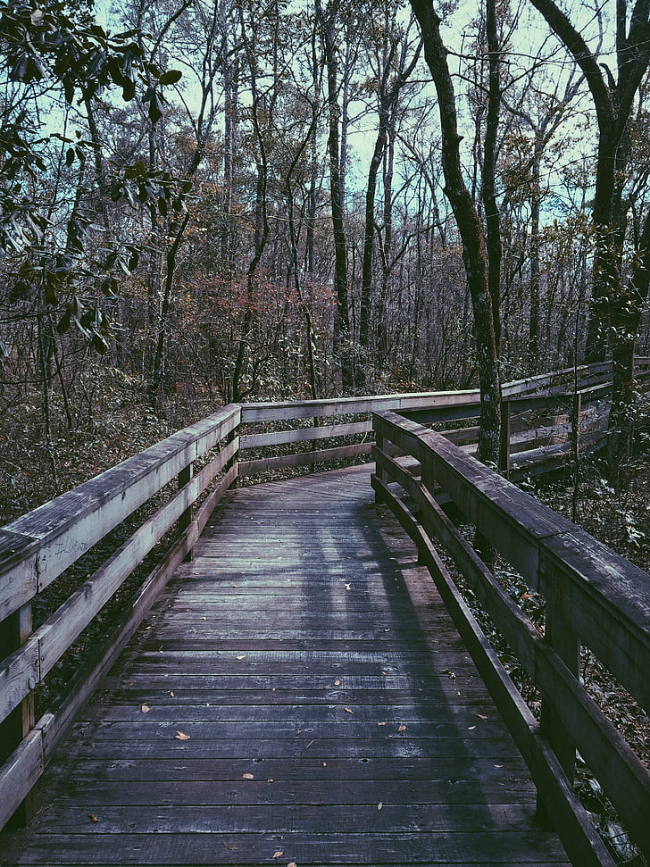 brown, wooden, bridge, inside, forest, woods, adventure