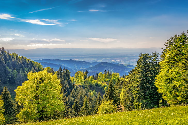 mountains, outlook, black forest, landscape, nature, distant view, spring