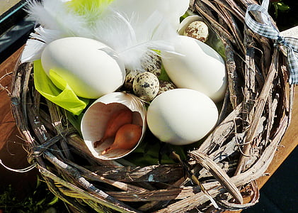 부활절, 부활절 꽃꽂이, 달걀, 달걀 껍질, 흰색 계란, 음식, 동물 둥지