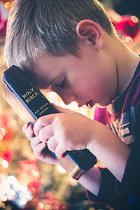Anak laki-laki, memegang, Kudus, Alkitab, buku, membaca, agama