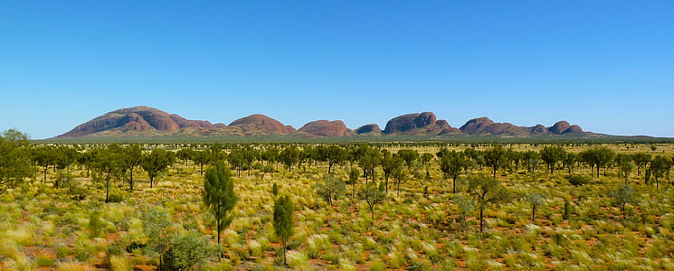 olgers, Централна Австралия, суша, пейзаж, Селско стопанство, поле, ферма