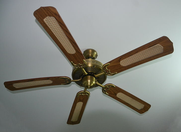 ceiling fan, fan, whirling, ceiling, interior, air, home