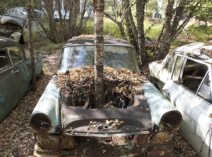 bil, skrot, Moss, gamle, skov, rust, grøn
