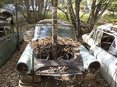 car, scrap, moss, old, forest, rust, green