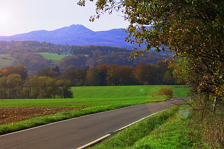 το φθινόπωρο, καφέ, φύλλωμα πτώσης, Siebengebirge, φύση, αγροτική σκηνή, δρόμος