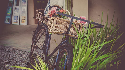 cistella, bicicletes, bicicleta, cistella, cadira, contenidor, medi ambient