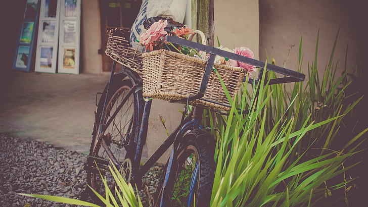 bicycle, flowers, shop, vintage bicycle, basket, vintage, old