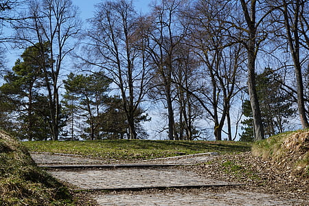 парк, далеч, дървета, усъвършенстване на планина, Тутлинген, Германия