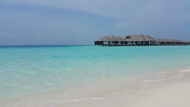 Maldives, vacances, plage, Dim, été, île, voyage