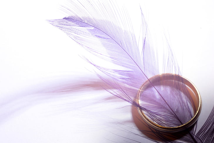 gold, band, ring, purple, feather, objects, softness