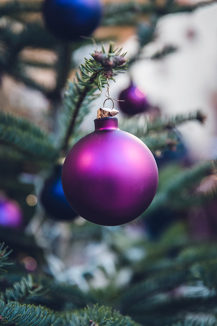Χριστούγεννα, μπάλα, Ενοικιαζόμενα, κόμμα, γιορτή, δέντρο, Βιολέτα
