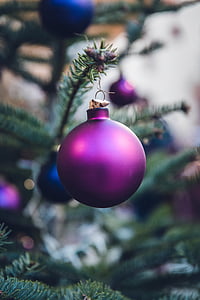 圣诞节, 球, 假日, 一方, 庆祝活动, 树, 紫罗兰色